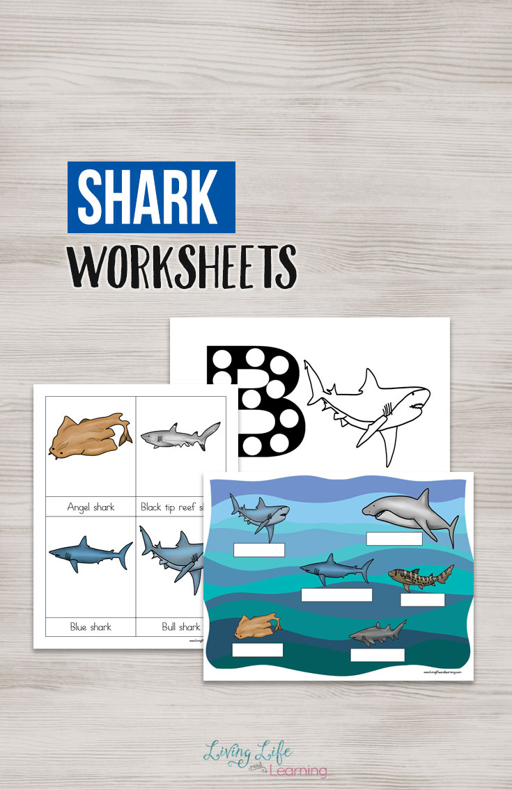 If you have an ocean lover, a shark lover or are preparing for shark week, you are going to want this printable pack that is filled with activities for your young learner! 