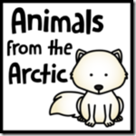 Free Arctic Animals Packs