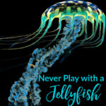 Middle School Writing Prompt: Never Play with a Jellyfish