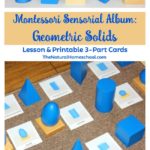 Montessori Sensorial Album: Geometric Solids {5 Lessons & Printable 3-Part Cards}