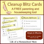 Printable House Cleaning Cards