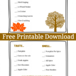 Free Fall Senses Scavenger Hunt
