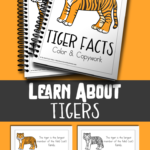 LIMITED TIME: Tiger Facts Color & Copywork