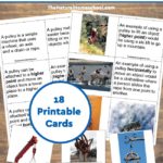 Simple Machines – Pulley Pictures and Information Cards