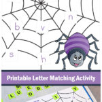 Free Printable Spider Web Matching Sheets