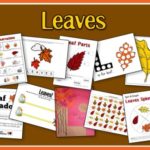 Free Leaves Preschool Pack