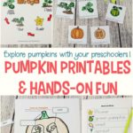 Life Cycle of a Pumpkin Preschool Printables