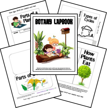 Whether you're studying Botany or your children are just interested in plants, don't miss this Free Botany Lapbook! :: www.thriftyhomeschoolers.com