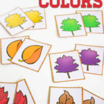 Leaves & Colors Matching Printables