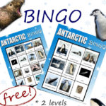 Antarctic BINGO Printables Freebie