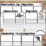 Printable Hibernation, Migration and Adaptation Notebooking Pages
