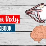 *ENDED* Limited Time Freebie ~ Human Body Workbook (ends 3.1.18)