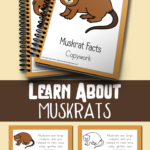 FREE Muskrat Facts Color & Copywork (Ends 4.22.18)