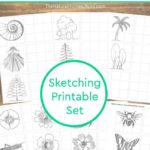 Famous Artists for Kids ~ Printable Sketch Pages like Linnaeus