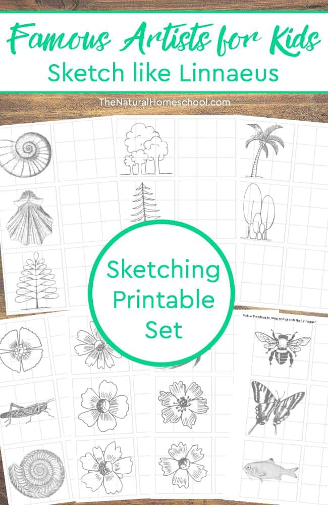 Are your kids learning about famous artists this school year? This is a printable in the Famous Artists for Kids series! This pack  includes printable sketch pages like Linnaeus, the famous botanist/artist. 