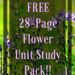 Flower Unit Study Printable Pack