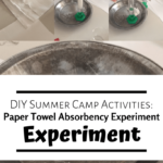 Paper Towel Absorbency Experiment