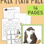 Guinea Pig Preschool Math Pack