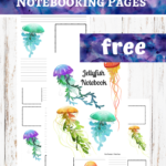 Jellyfish Notebooking Pages Freebie