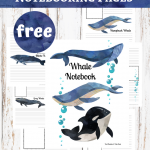 Whale Notebooking Pages Freebie